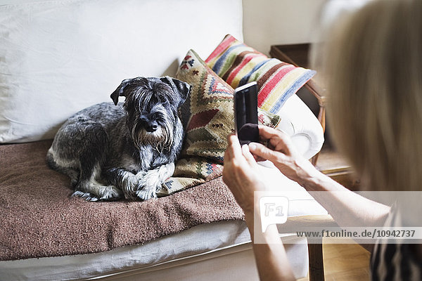 Abgeschnittenes Bild einer älteren Frau  die einen Hund über ein Smartphone zu Hause fotografiert.