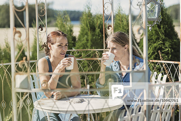 Weibliche Freunde  die im Garten Kaffee trinken.