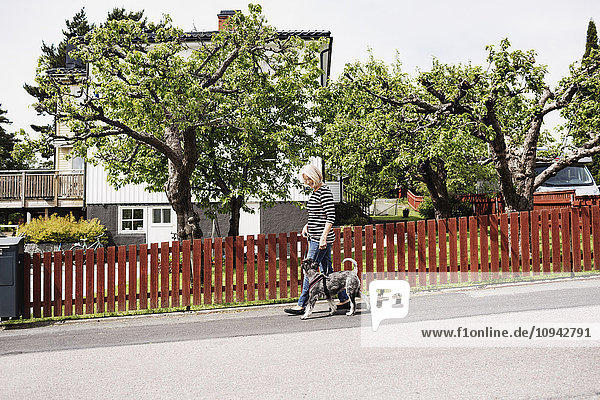 Seitenansicht der Seniorin mit Hund auf der Straße