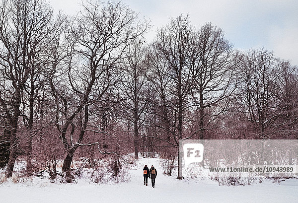 Couple walking towards bare trees in forest during winter