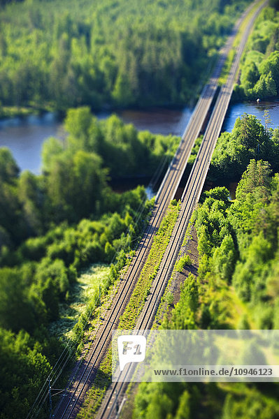 Railroad through forest