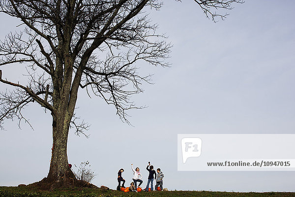 Fünf Kinder haben Spaß unter einem großen Baum