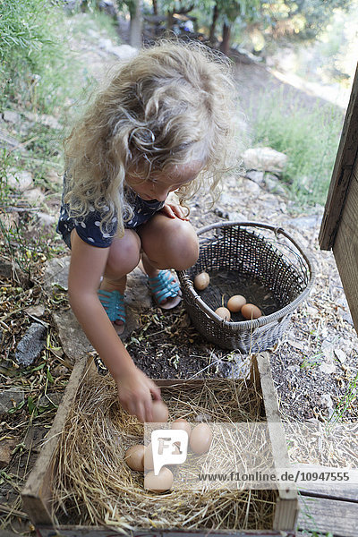 Girl picking eggs from nest