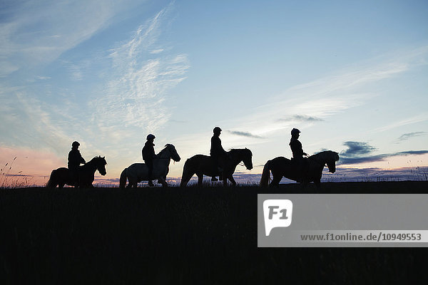 Silhouettes of people riding horses