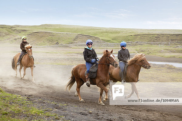 Frauen reiten auf Islandpferden