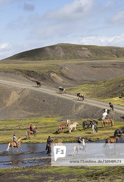 Frauen reiten auf Islandpferden und überqueren einen Fluss