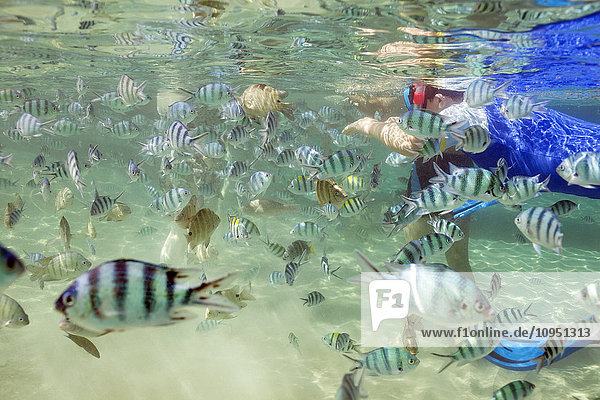 Boy swimming with fish around