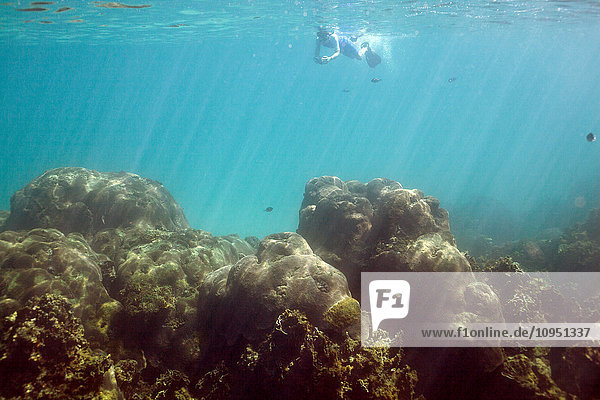 Child diving