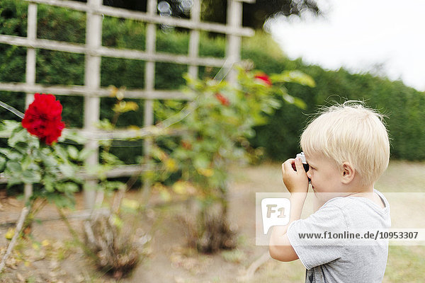 Junge beim Fotografieren von Blumen
