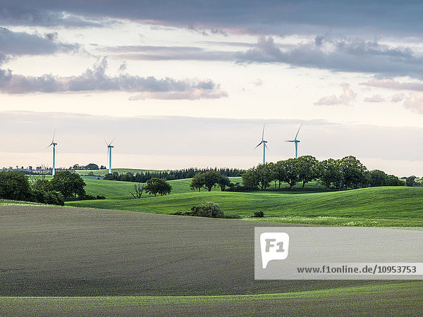 Rural landscape with wind turbines