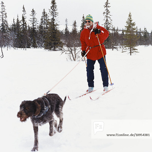 Mann beim Skifahren mit Hunden.