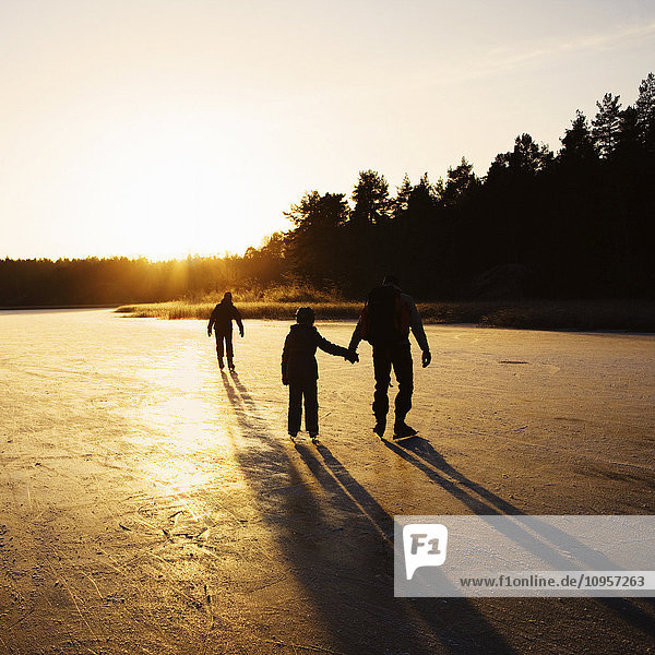 Father with two children skating on a lake  Sweden.