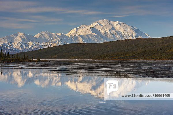 Aussicht auf den Mt. McKinley  der sich bei Sonnenaufgang im Wonder Lake spiegelt  Denali-Nationalpark  Inner-Alaska