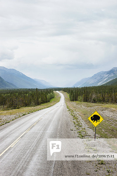 A Bison crossing sign along the Alaska Highway north of Muncho Lake,  Muncho Lake Provincial Park,  British Columbia,  Canada,  Summer