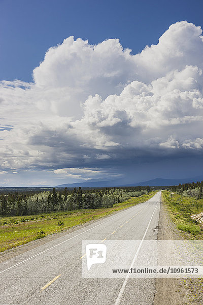 Scenic view of the Alaska Highway near Whitehorse with rain clouds in the distance  Yukon Territory  Canada  Summer