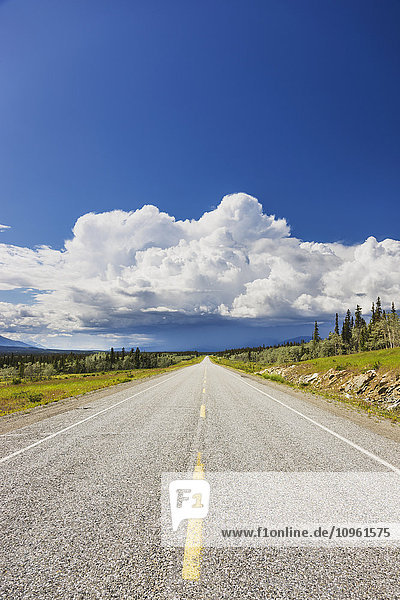 Blick auf den Alaska Highway bei Whitehorse mit Regenwolken in der Ferne  Yukon Territory  Kanada  Sommer