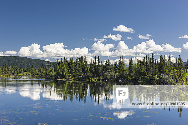 Aussicht auf die kanadische Seite der Grenze zwischen Kanada und den USA  Yukon-Territorium  Sommer