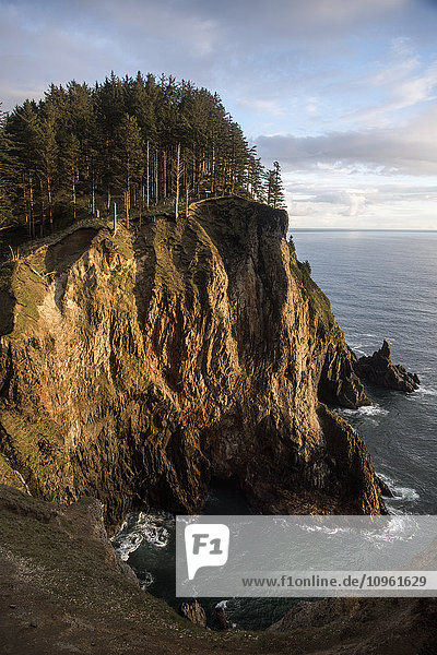 'Tall cliffs are found at Oswald West State Park; Manzanita  Oregon  United States of America'