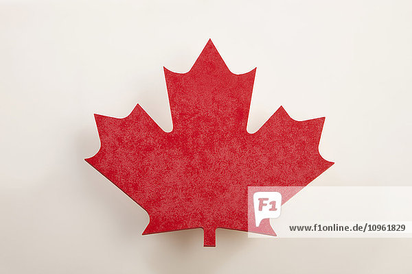 Kanadisches rotes Ahornblatt; Edmonton  Alberta  Kanada'.