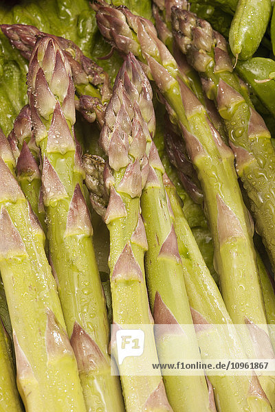 Spargel; Edmonton  Alberta  Kanada'.