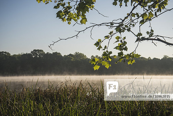 Nebel steigt aus dem Sally Jones Lake an einem Frühlingsmorgen; Vian  Oklahoma  Vereinigte Staaten von Amerika'.