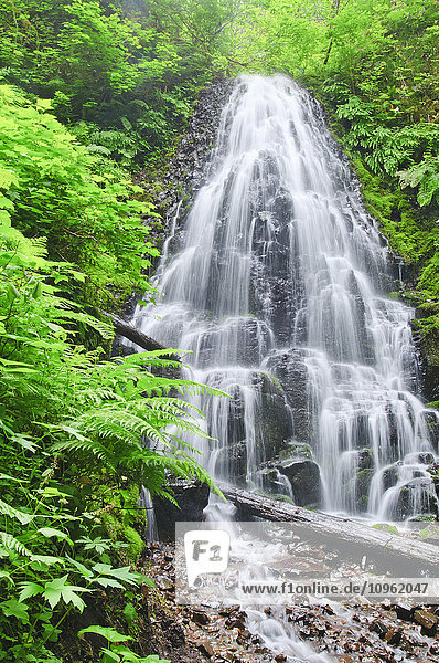 Fairy Falls in der Columbia River Gorge; Oregon  Vereinigte Staaten von Amerika'.