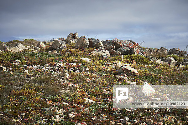 'Tundra; Cambridge Bay  Nunavut  Kanada'.