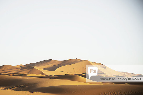 Wüstendünenlandschaft am späten Tag  Wüste Sahara; Merzouga  Marokko'.