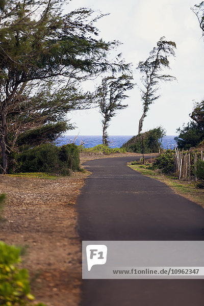 Ansichten von einem Spaziergang auf dem Kealia-Wanderweg; Kapaa  Kauai  Hawaii  Vereinigte Staaten von Amerika'.