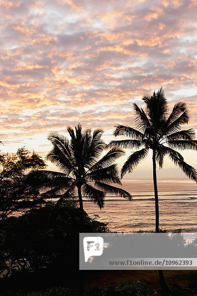 Morgensonnenaufgang durch die Palmen am Lydgate Beach; Wailua  Kauai  Hawaii  Vereinigte Staaten von Amerika'.