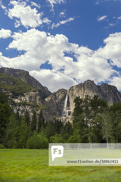 Aussicht auf die Yosemite-Wasserfälle und eine Wiese  Yosemite-Nationalpark; Kalifornien  Vereinigte Staaten von Amerika'.