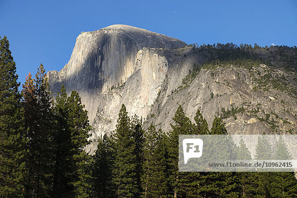 Aussicht auf den Half Dome vom Yosemite Valley  Yosemite National Park; Kalifornien  Vereinigte Staaten von Amerika'.