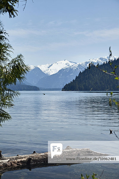 Cheakamus Lake  in der Nähe von Whistler; British Columbia  Kanada'.