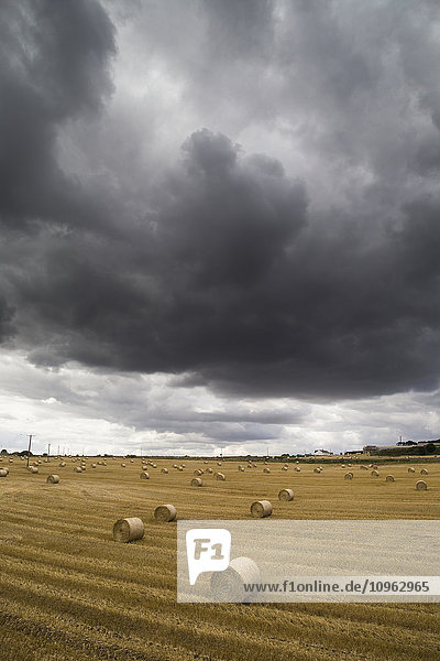 Dunkle Gewitterwolken über einem Feld mit Heuballen; South Shields  England'.
