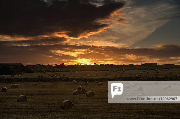Dramatischer Sonnenuntergang mit dunklen Wolken über einem Feld mit Heuballen; Whitburn  Tyne and Wear  England'.