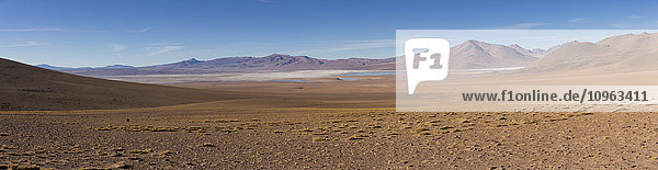 Die surreale Landschaft der bolivianischen Altiplano-Region in der Nähe von Uyuni; Bolivien'.