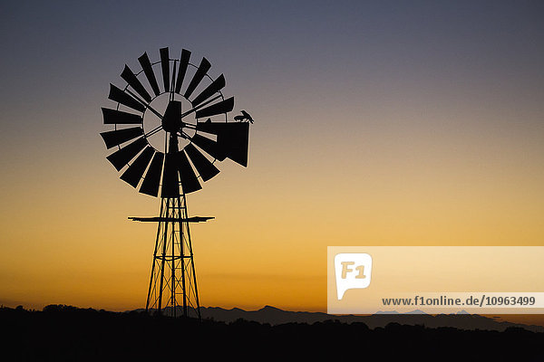 'Windmill at sunset; South Africa'