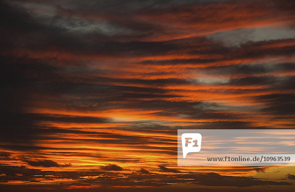 Dramatischer roter Himmel mit Wolken; Caloundra  Queensland  Australien'.