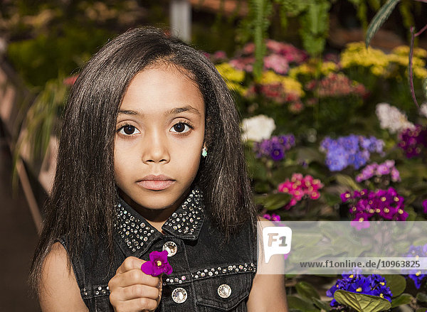 'Young girl holding a flower in a shopping centre; St. Albert  Alberta  Canada'