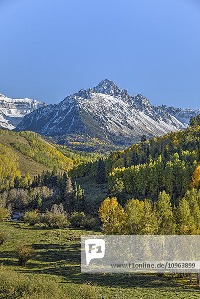 Herbstfarben  abseits der Straße 7  Sneffels Range  nahe Ouray; Colorado  Vereinigte Staaten von Amerika'.