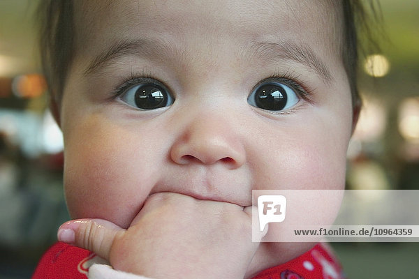 'Close up of wide-eyed baby girl with her fingers in her mouth. her thumb wet and her eyes transfixed; Halifax  Nova Scotia  Canada'