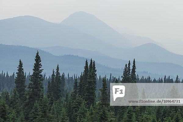 'Smoke from wildfires in central Alaska envelopes the Teklanika River Valley  Denali National Park; Alaska  United States of America'