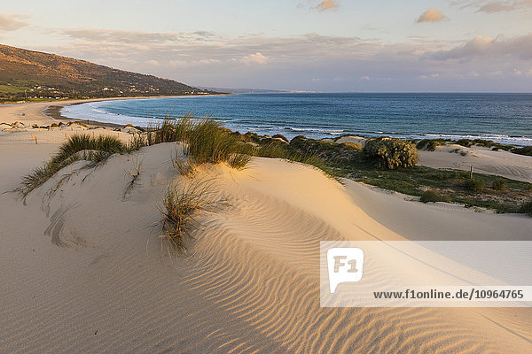 'Punta Paloma sand dunes; Tarifa  Costa de la Luz  Cadiz  Andalusia  Spain'