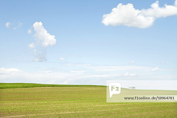 Bebautes Feld  Getreidesilos im Hintergrund; Quebec  Kanada'.
