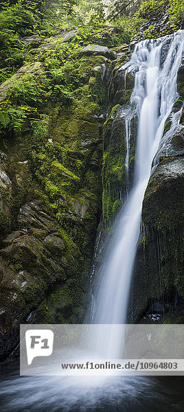 Ein abgelegener Wasserfall befindet sich am Necarney Creek; Manzanita  Oregon  Vereinigte Staaten von Amerika'.