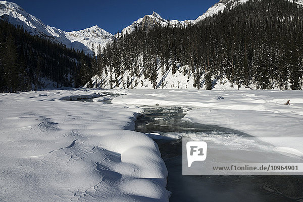 'Water flowing under melting snow and the Canadian Rocky Mountains  Yoho National Park; Field  British Columbia  Canada'