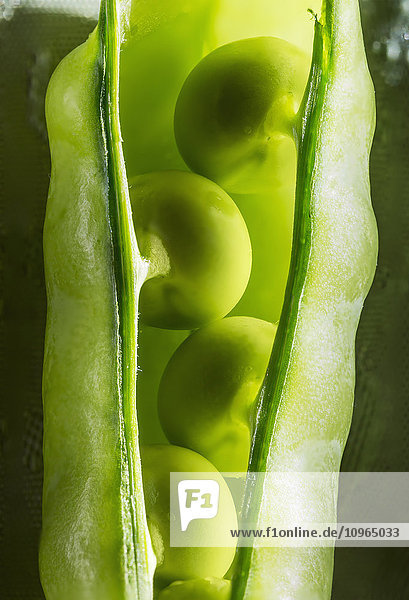'Close up of peas in a pea pod; Calgary  Alberta  Canada'