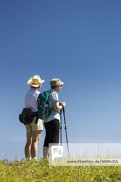 Zwei Wanderinnen auf einem grasbewachsenen Hügel mit blauem Himmel; Kananaskis Country  Alberta  Kanada'.
