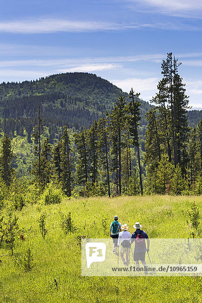 Wanderer auf grasbewachsenem Weg mit sanften Ausläufern im Hintergrund; Kananaskis Country  Alberta  Kanada'.