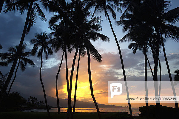Sonnenuntergang an der Nordküste von Maui; Spreckelsville  Maui  Hawaii  Vereinigte Staaten von Amerika'.